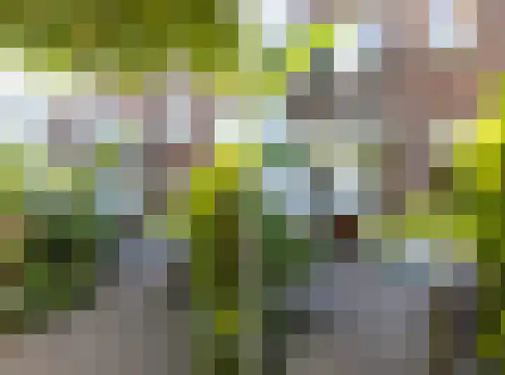 St. Peterlaan 123 Arnhem thumbnail 43