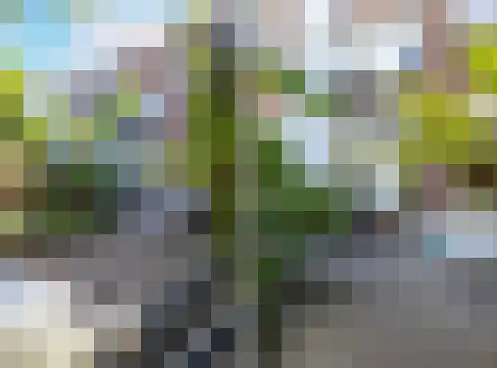St. Peterlaan 123 Arnhem thumbnail 44