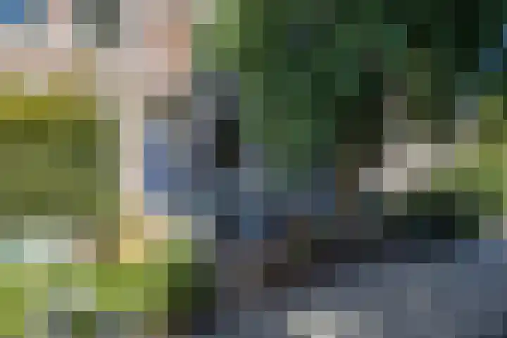 St. Peterlaan 123 Arnhem thumbnail 48