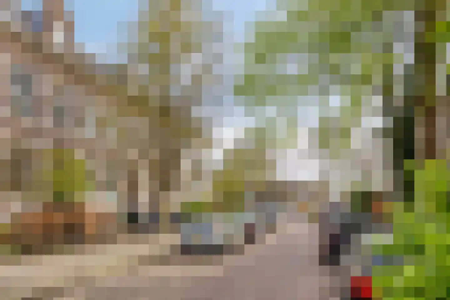 St. Peterlaan 125 2 Arnhem thumbnail 18