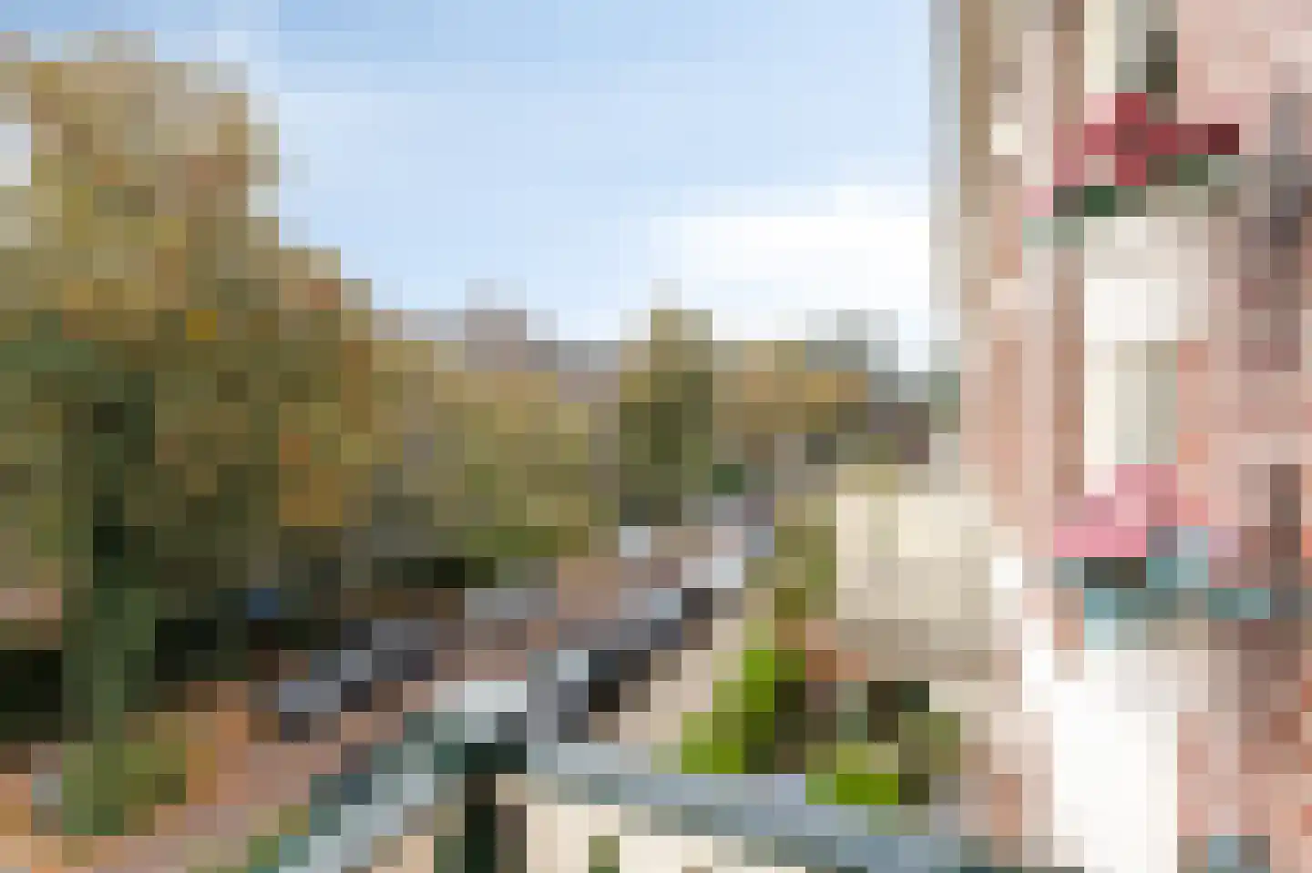 St. Peterlaan 63 Arnhem thumbnail 17