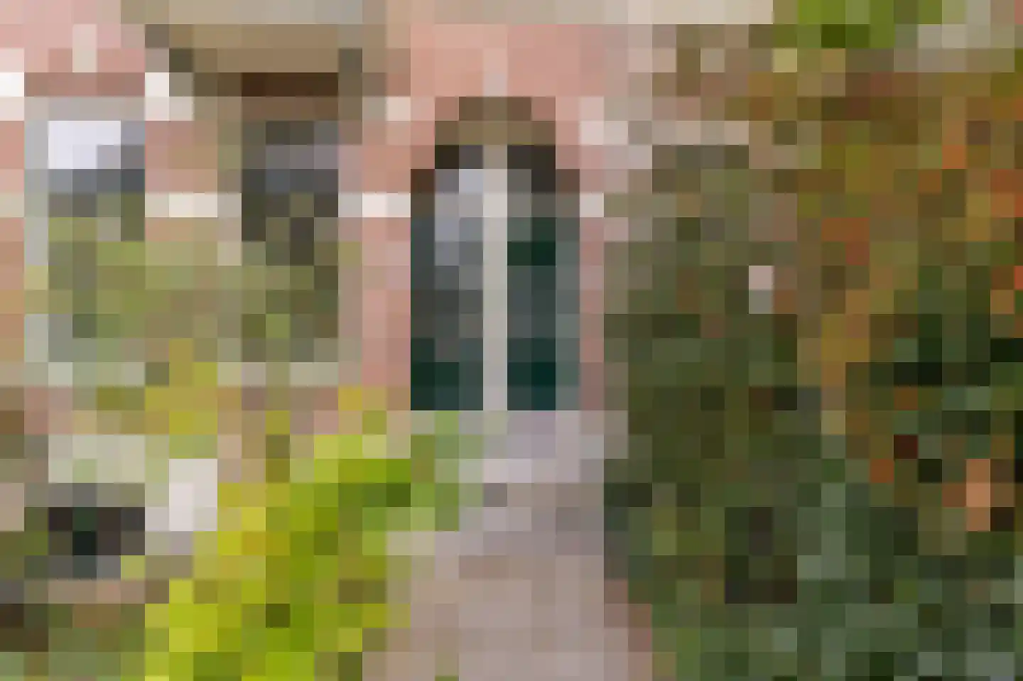 St. Peterlaan 63 Arnhem thumbnail 4