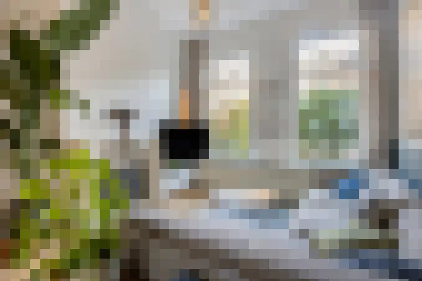 St. Peterlaan 64 Arnhem thumbnail 13