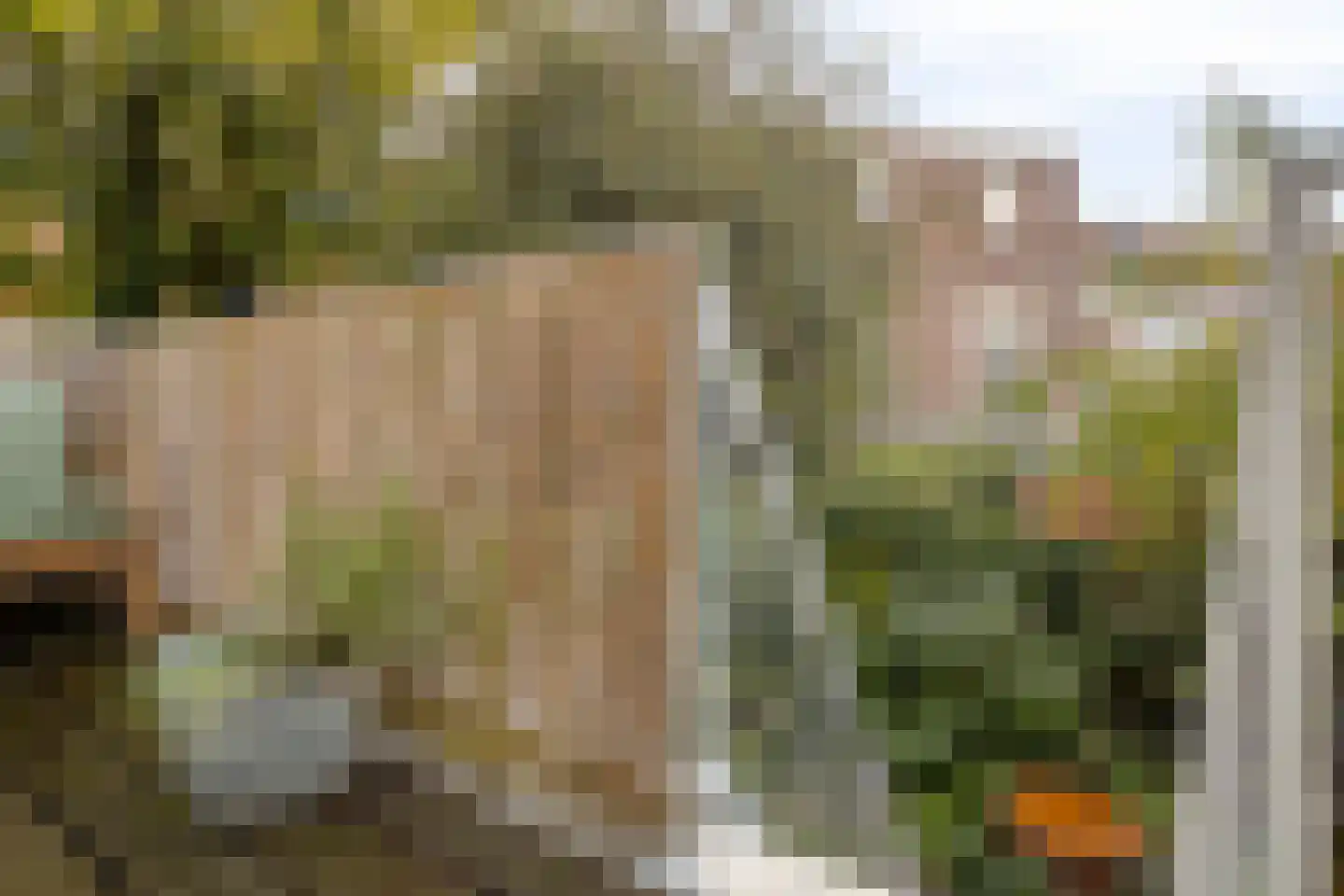 St. Peterlaan 64 Arnhem thumbnail 20