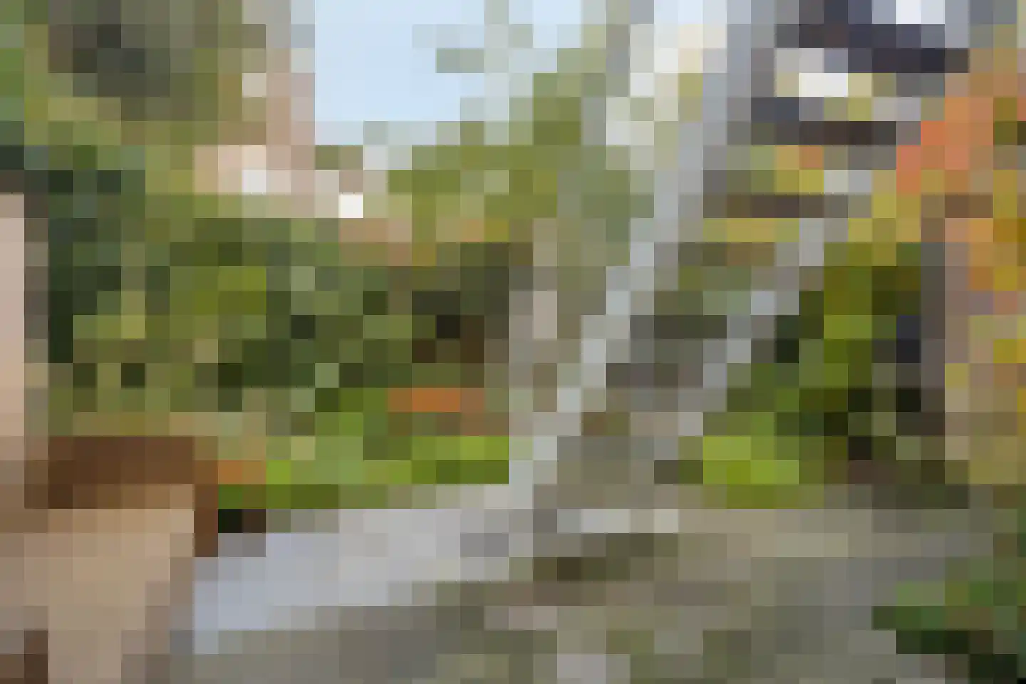 St. Peterlaan 64 Arnhem thumbnail 38