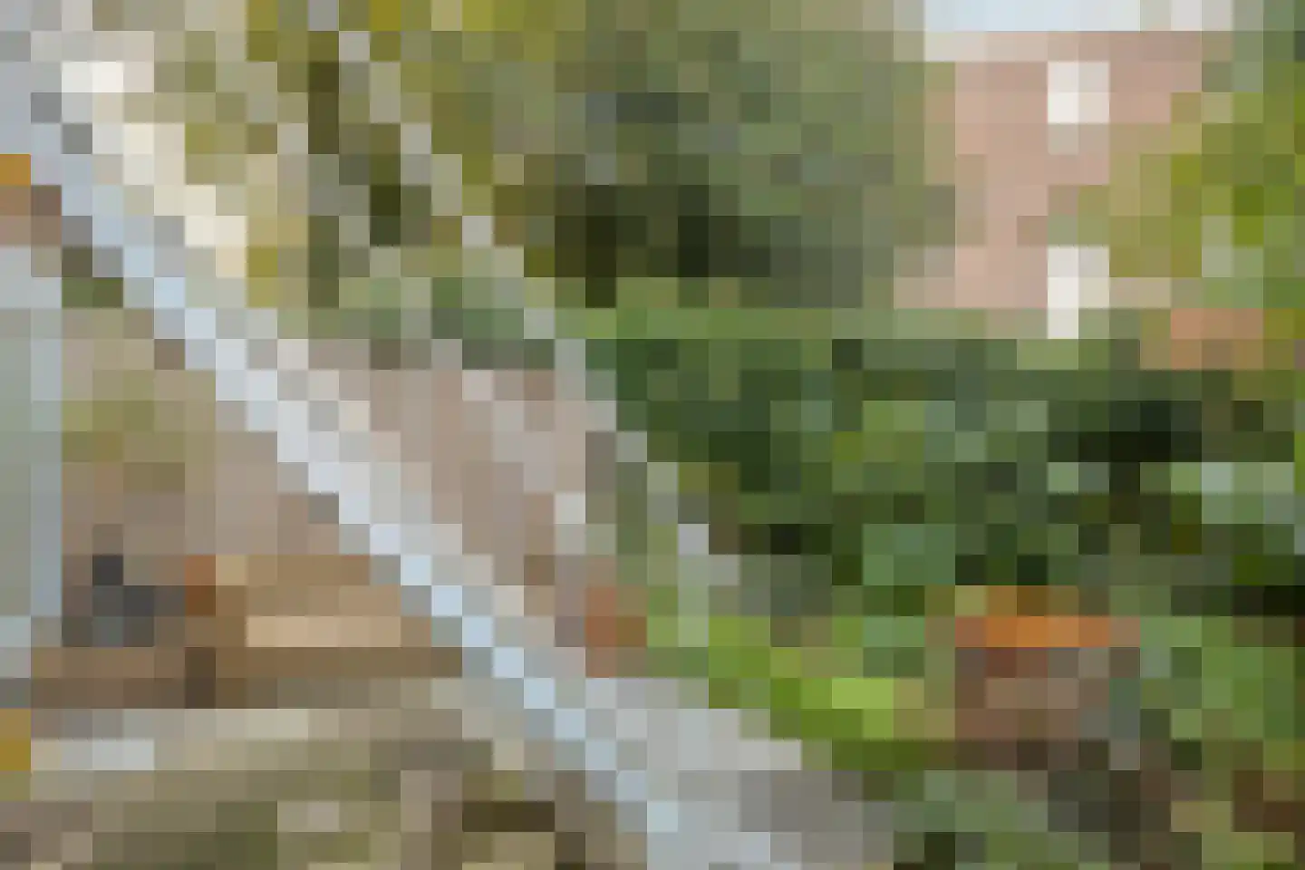 St. Peterlaan 64 Arnhem thumbnail 41
