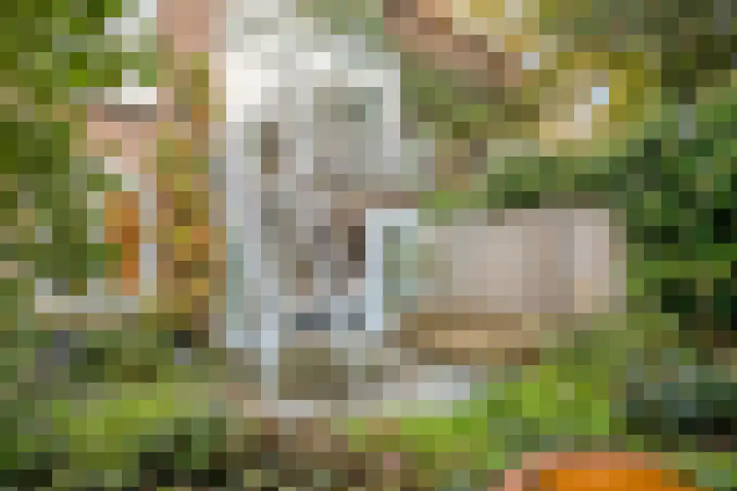 St. Peterlaan 64 Arnhem thumbnail 42