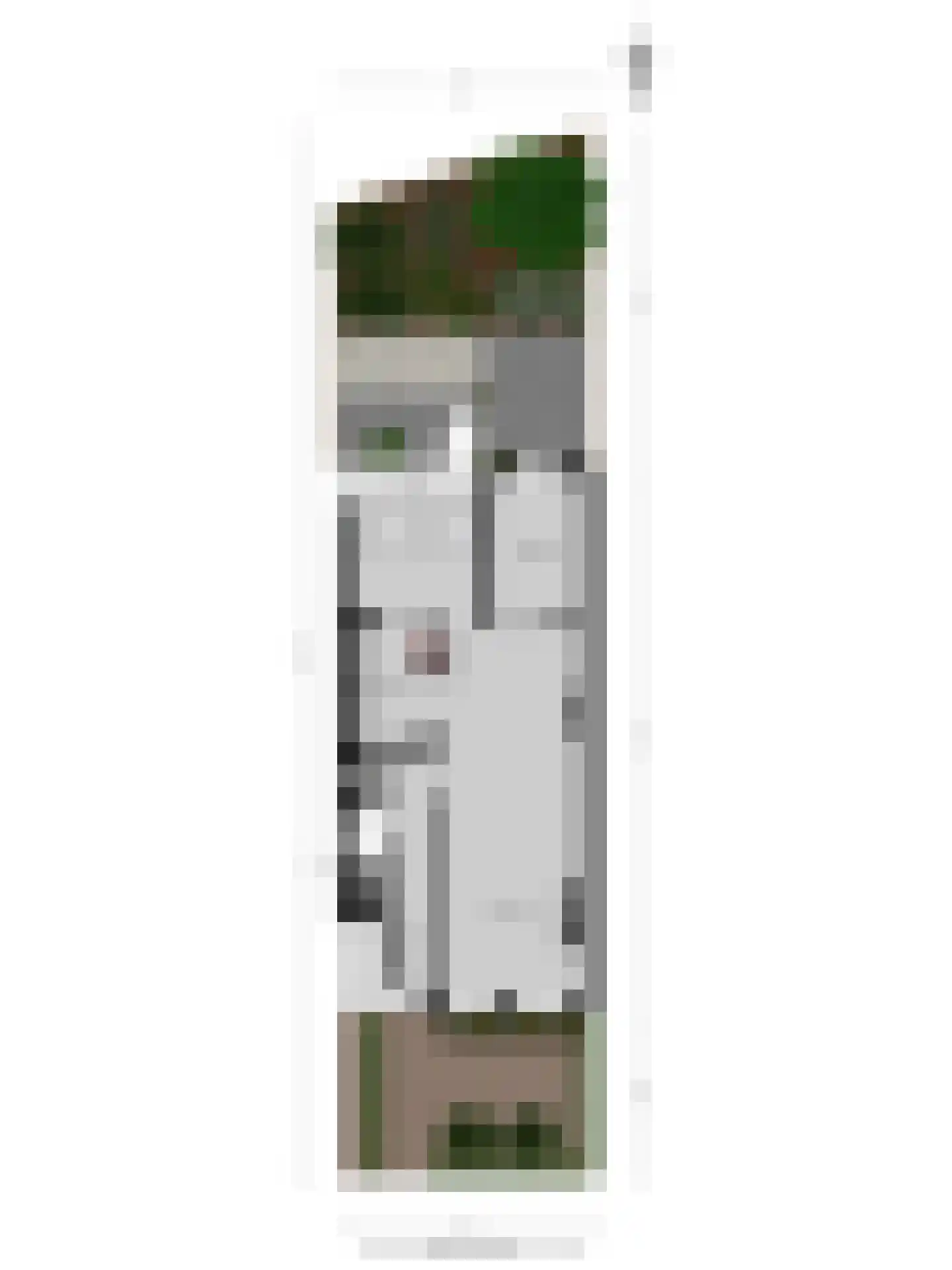 St. Peterlaan 64 Arnhem thumbnail 48