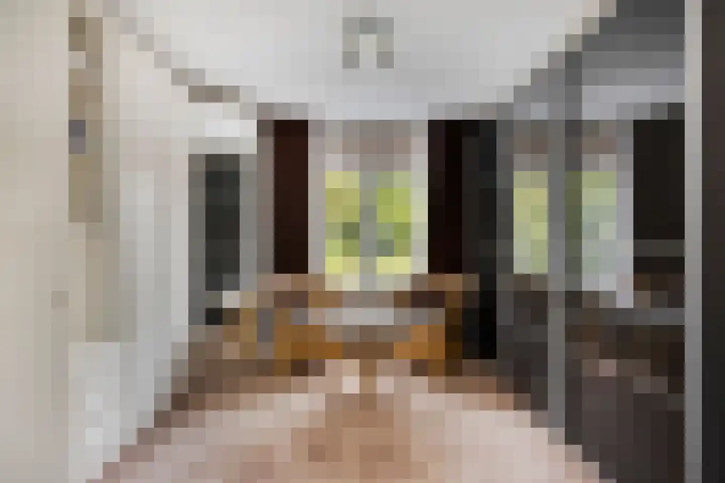 St Petrus Canisiuslaan 1 Eindhoven thumbnail 19