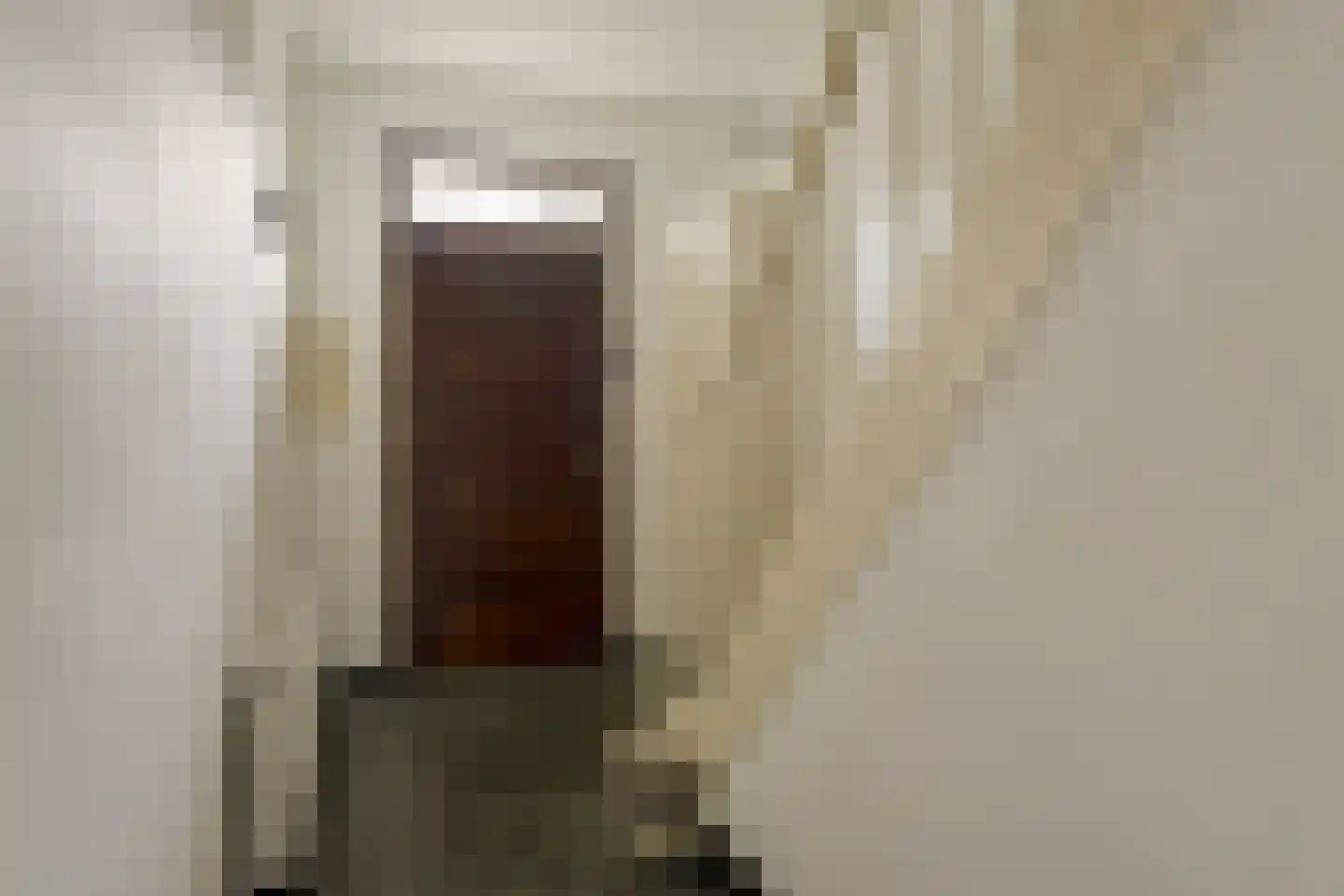 St Petrus Canisiuslaan 6 Eindhoven thumbnail 9