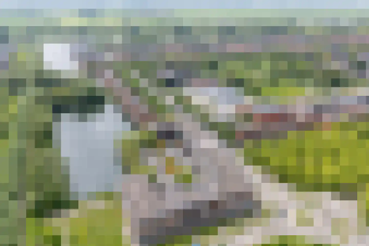 St.-Pietersberg 1 De Meern thumbnail 65