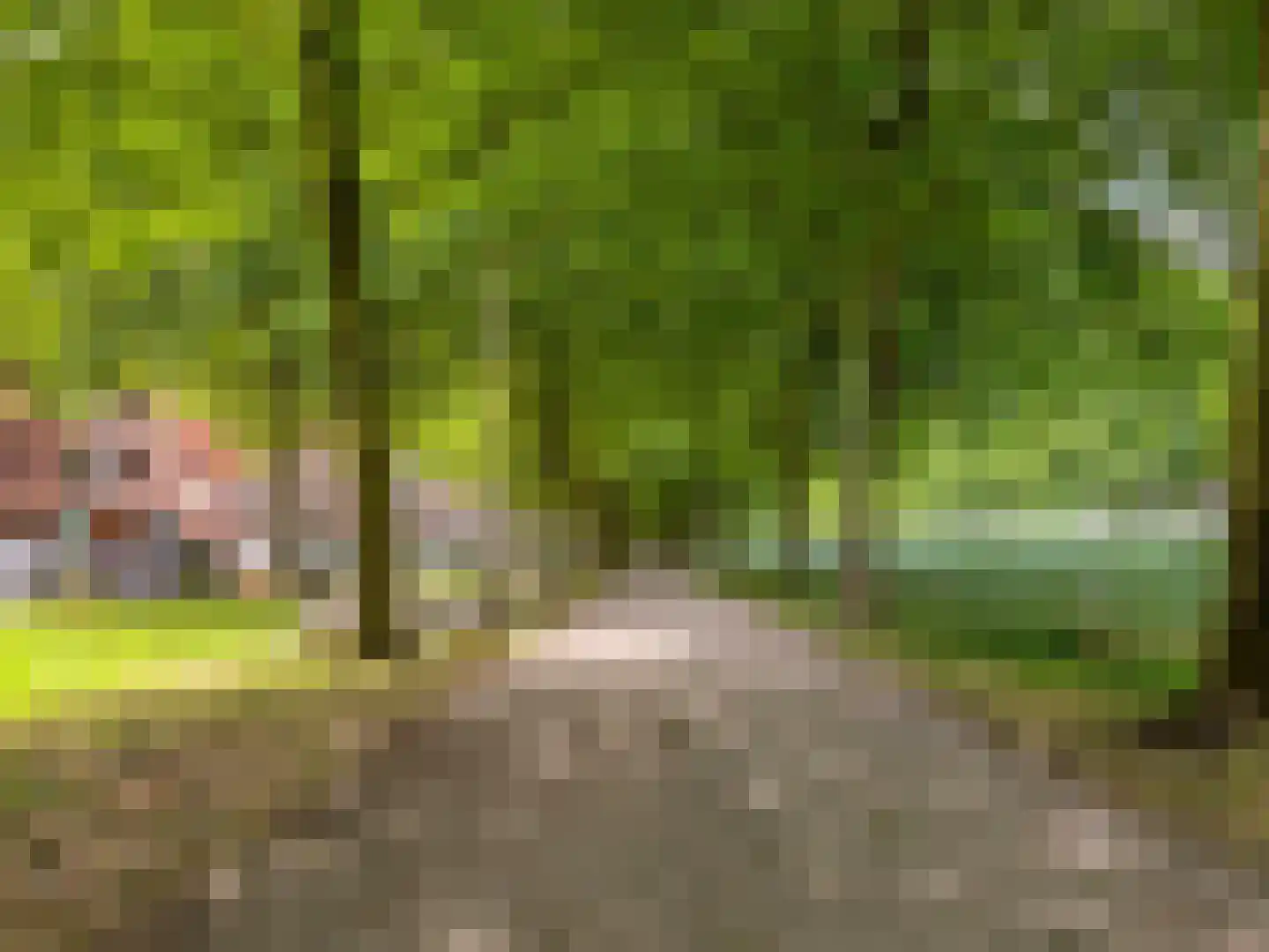 St.-Pietersberg 16 De Meern thumbnail 39