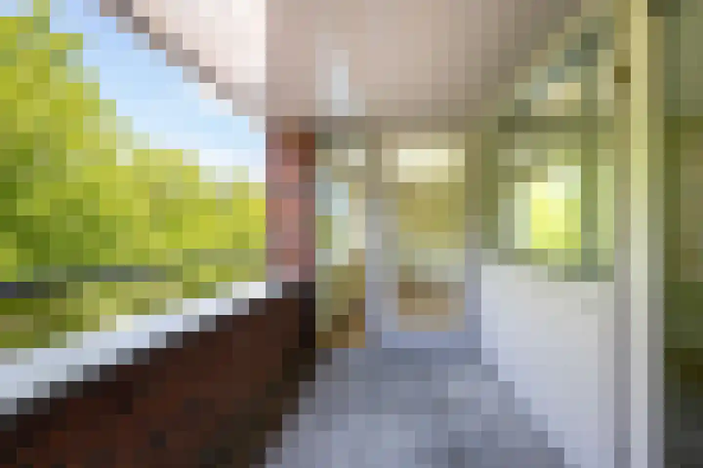 St.-Pietersberg 23 De Meern thumbnail 18