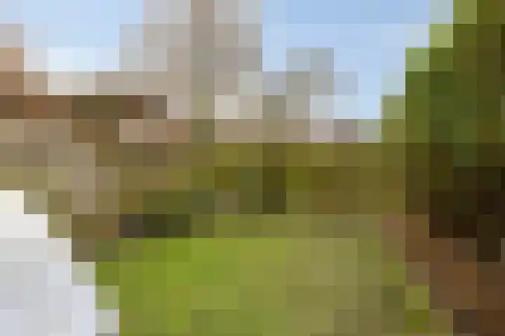 St. Pietersland 49 Meppel thumbnail 28