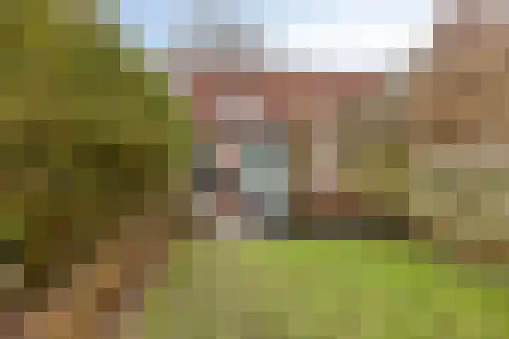 St. Pietersland 49 Meppel thumbnail 29