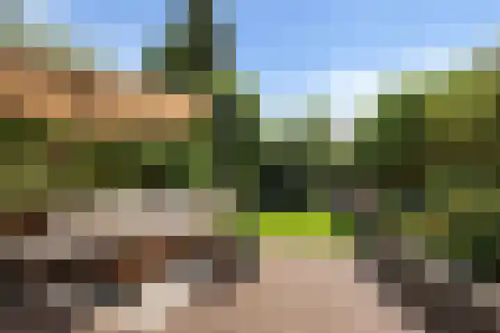 St. Pietersland 49 Meppel thumbnail 4