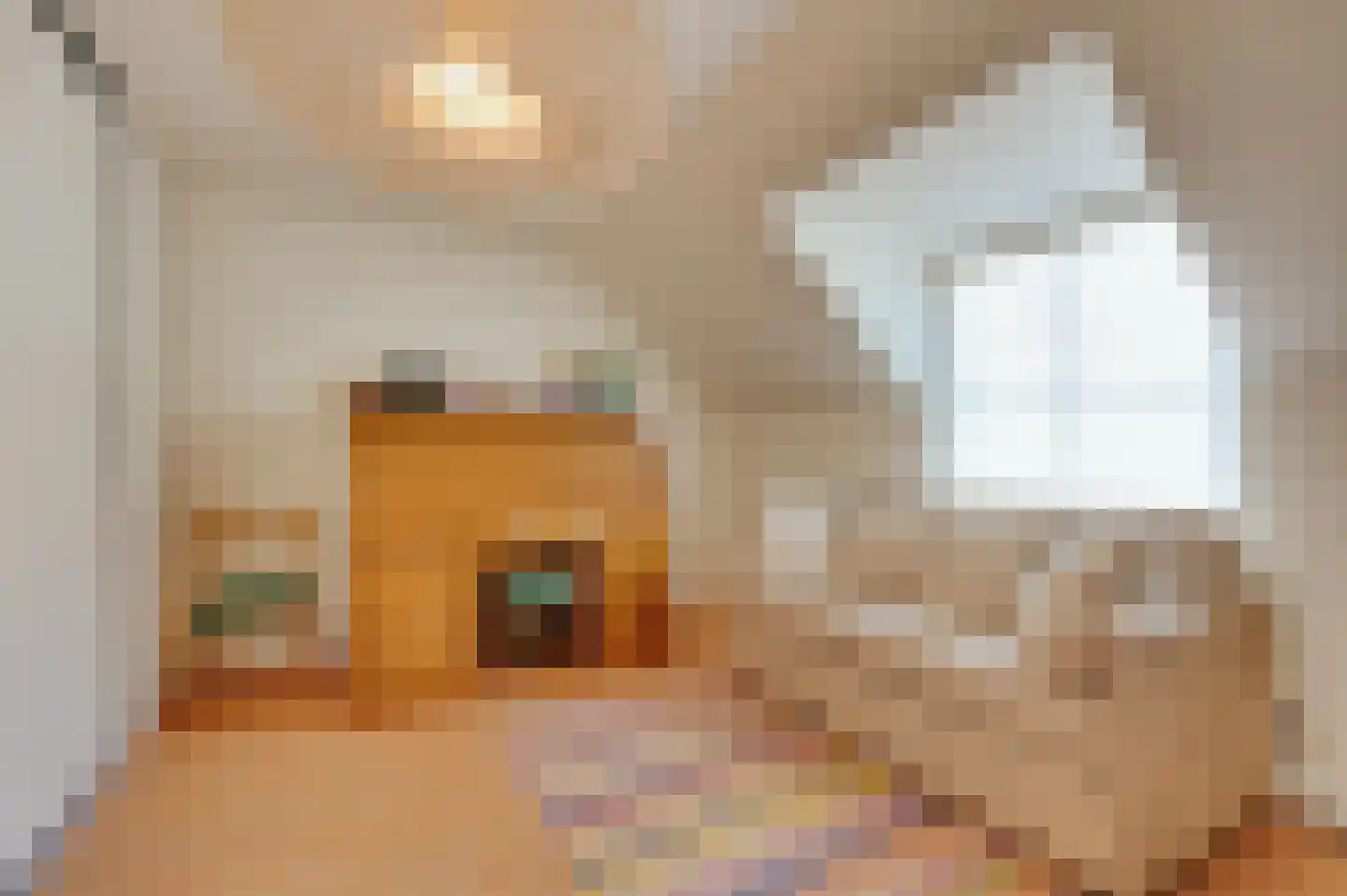 St. Pieterstraat 25 Sluis thumbnail 37