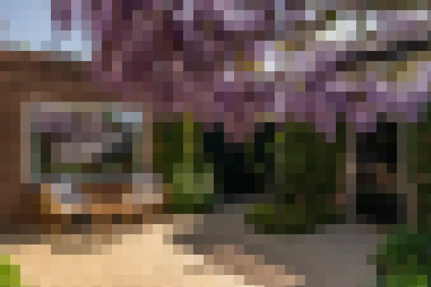 St. Pieterstraat 25 Sluis thumbnail 8