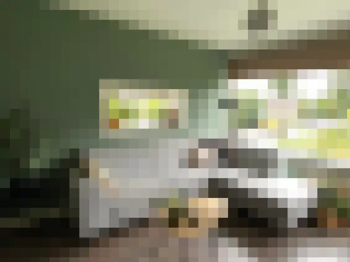 St Plechelmuspad 1 Eindhoven thumbnail 4