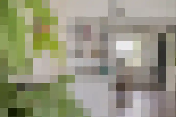 St Plechelmuspad 3 Eindhoven thumbnail 16