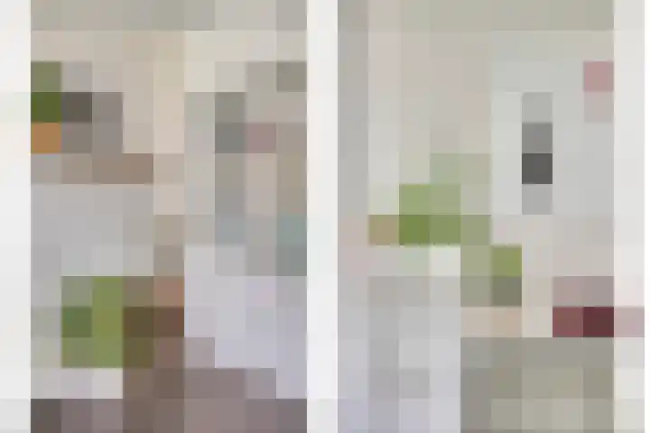 St Plechelmuspad 3 Eindhoven thumbnail 17