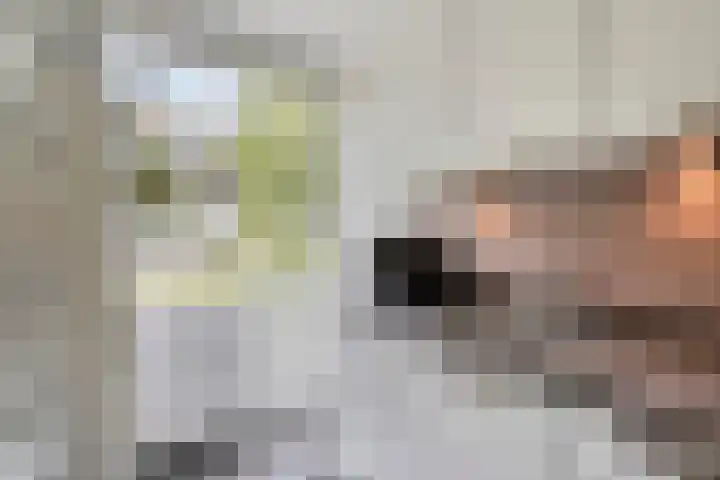 St Plechelmuspad 3 Eindhoven thumbnail 19