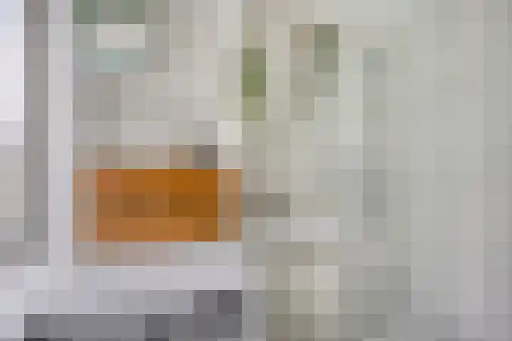 St Plechelmuspad 3 Eindhoven thumbnail 22
