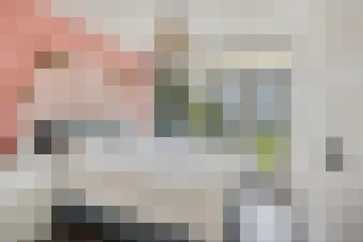 St Plechelmuspad 3 Eindhoven thumbnail 24