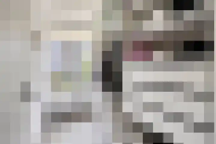 St Plechelmuspad 3 Eindhoven thumbnail 26