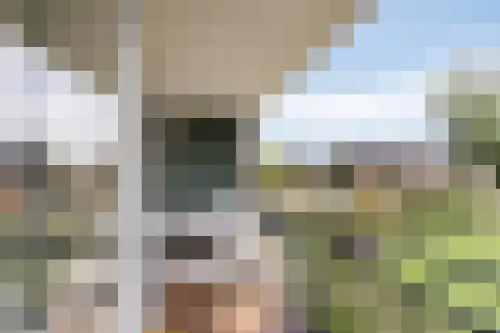 St Plechelmuspad 3 Eindhoven thumbnail 27