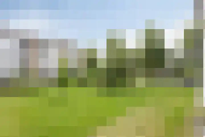 St Plechelmuspad 3 Eindhoven thumbnail 29