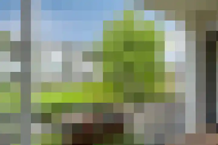 St Plechelmuspad 3 Eindhoven thumbnail 30