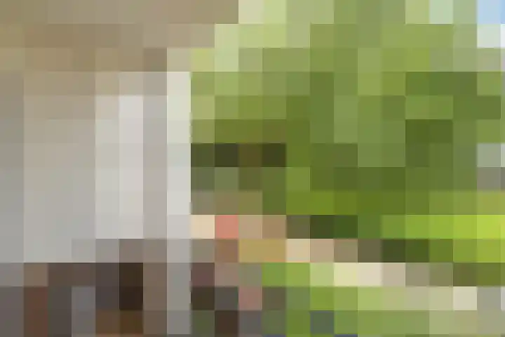 St Plechelmuspad 3 Eindhoven thumbnail 31