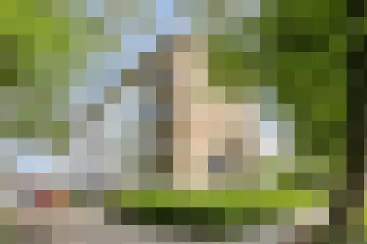 St Plechelmuspad 3 Eindhoven thumbnail 35