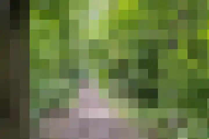 St Plechelmuspad 3 Eindhoven thumbnail 36