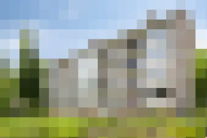 St Plechelmuspad 3 Eindhoven thumbnail 40