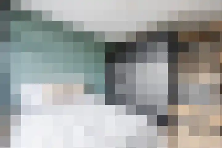 St Plechelmuspad 31 Eindhoven thumbnail 14