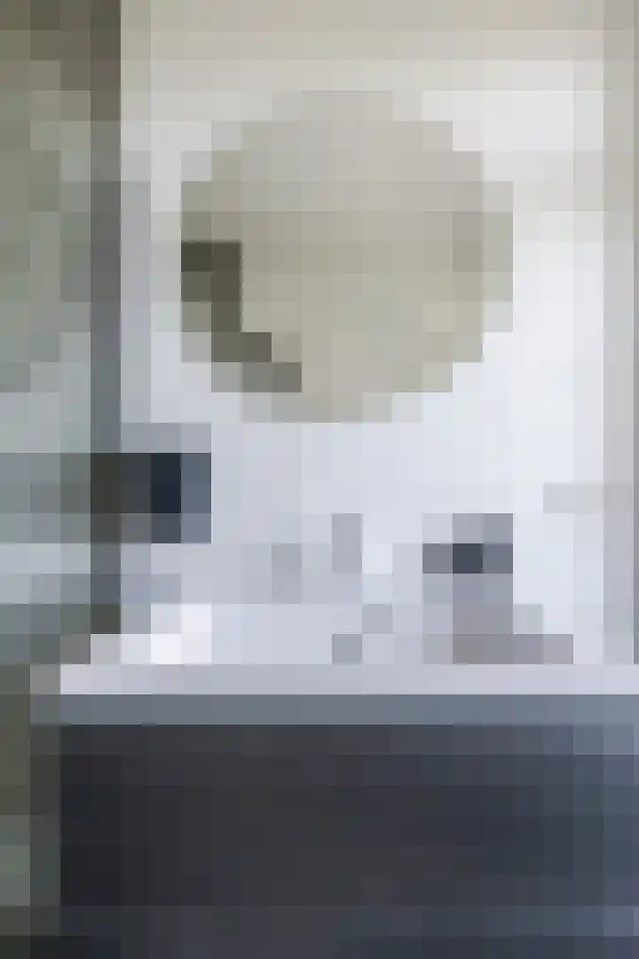 St Plechelmuspad 31 Eindhoven thumbnail 15