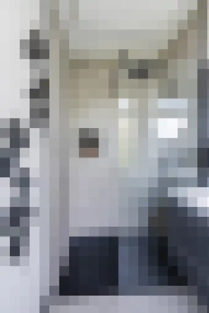 St Plechelmuspad 31 Eindhoven thumbnail 16