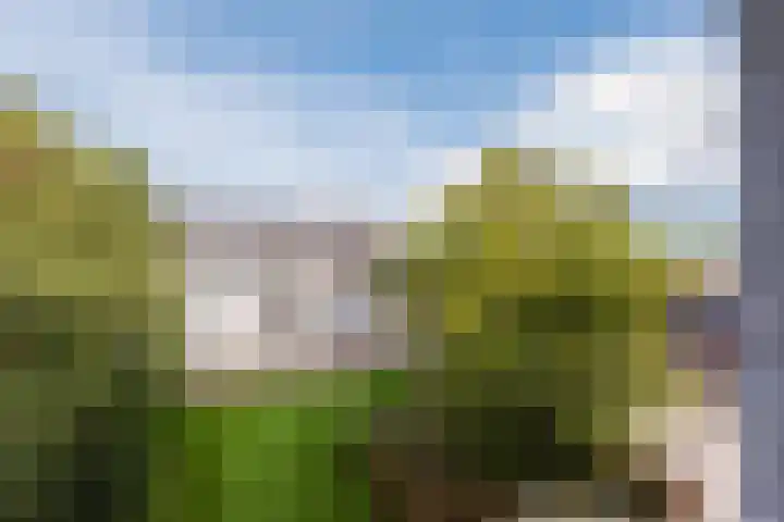 St Plechelmuspad 31 Eindhoven thumbnail 19