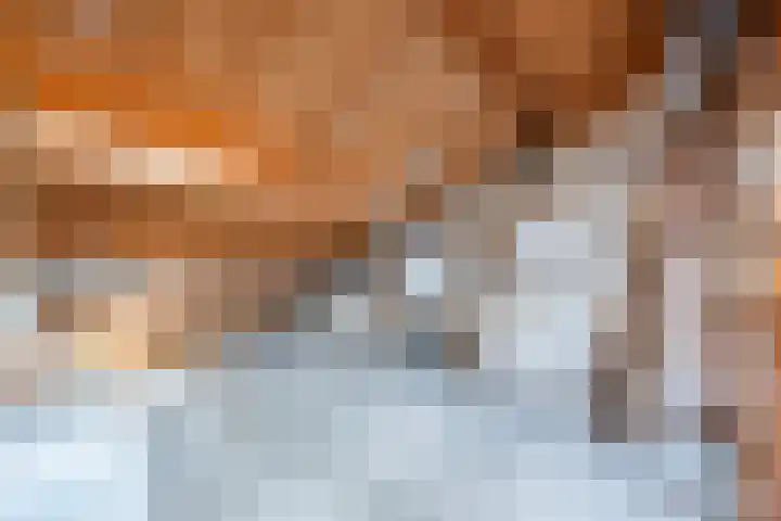 St Plechelmuspad 31 Eindhoven thumbnail 21