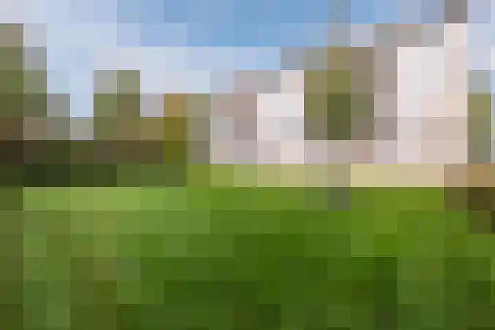 St Plechelmuspad 31 Eindhoven thumbnail 24