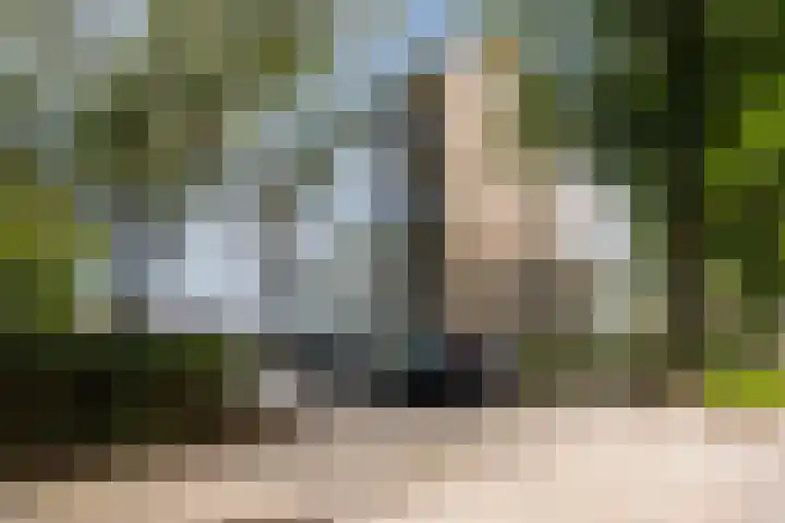 St Plechelmuspad 31 Eindhoven thumbnail 26