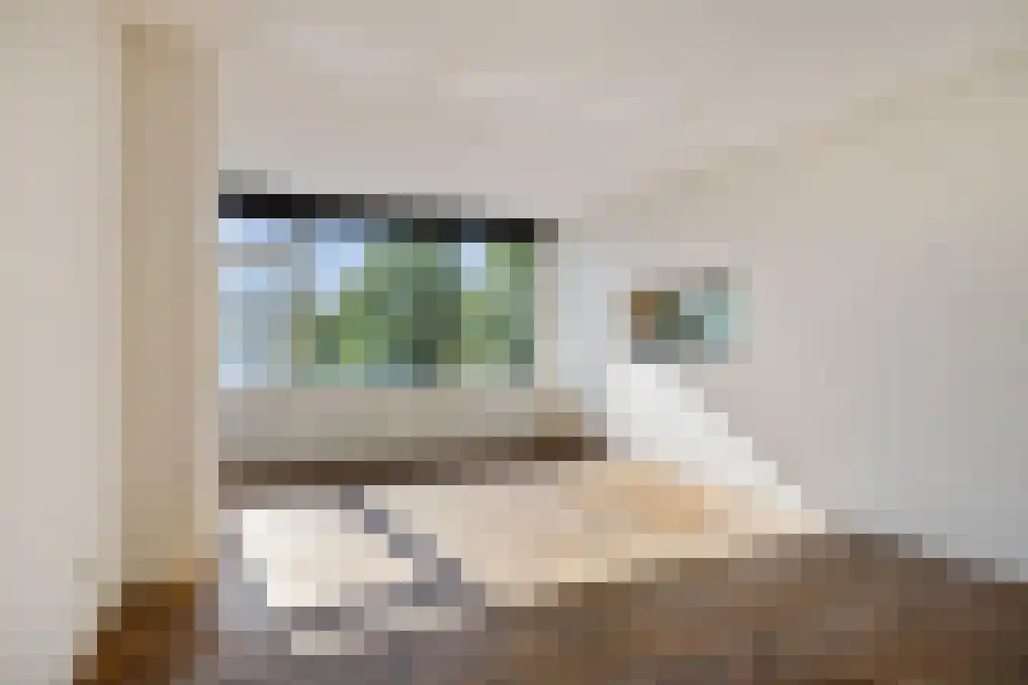 St Plechelmuspad 35 Eindhoven thumbnail 11