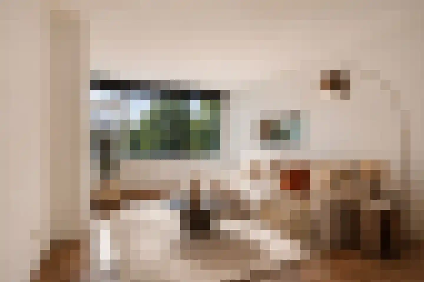 St Plechelmuspad 35 Eindhoven thumbnail 12