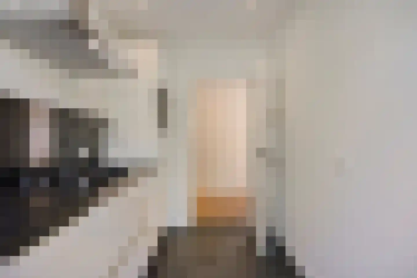 St Plechelmuspad 35 Eindhoven thumbnail 17