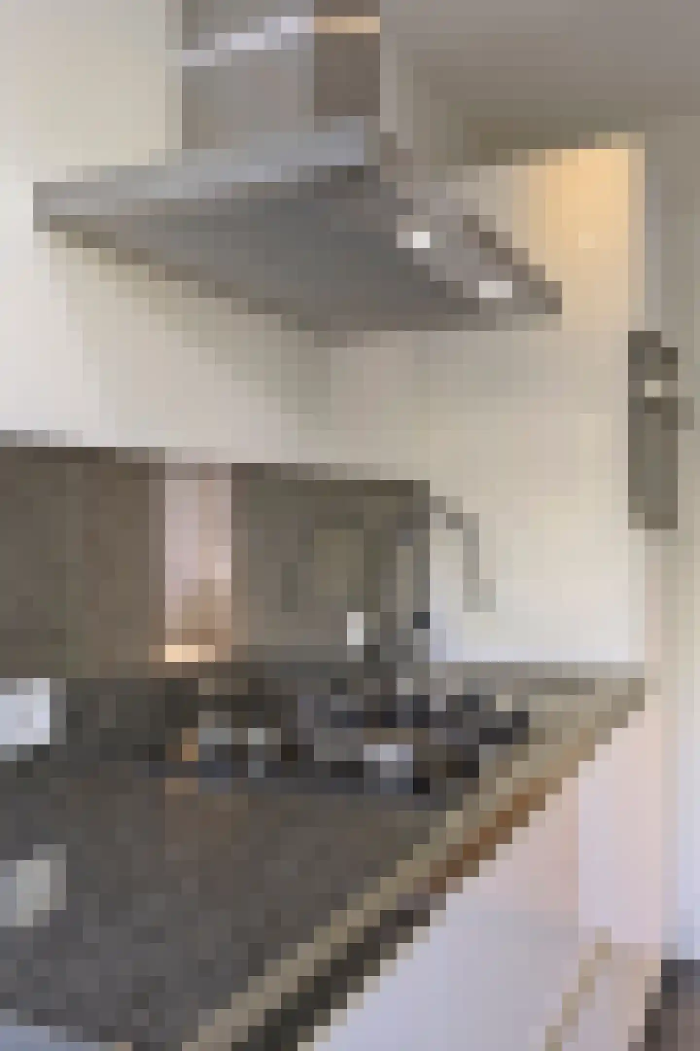 St Plechelmuspad 35 Eindhoven thumbnail 18