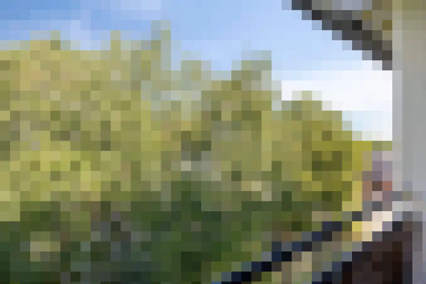 St Plechelmuspad 35 Eindhoven thumbnail 21