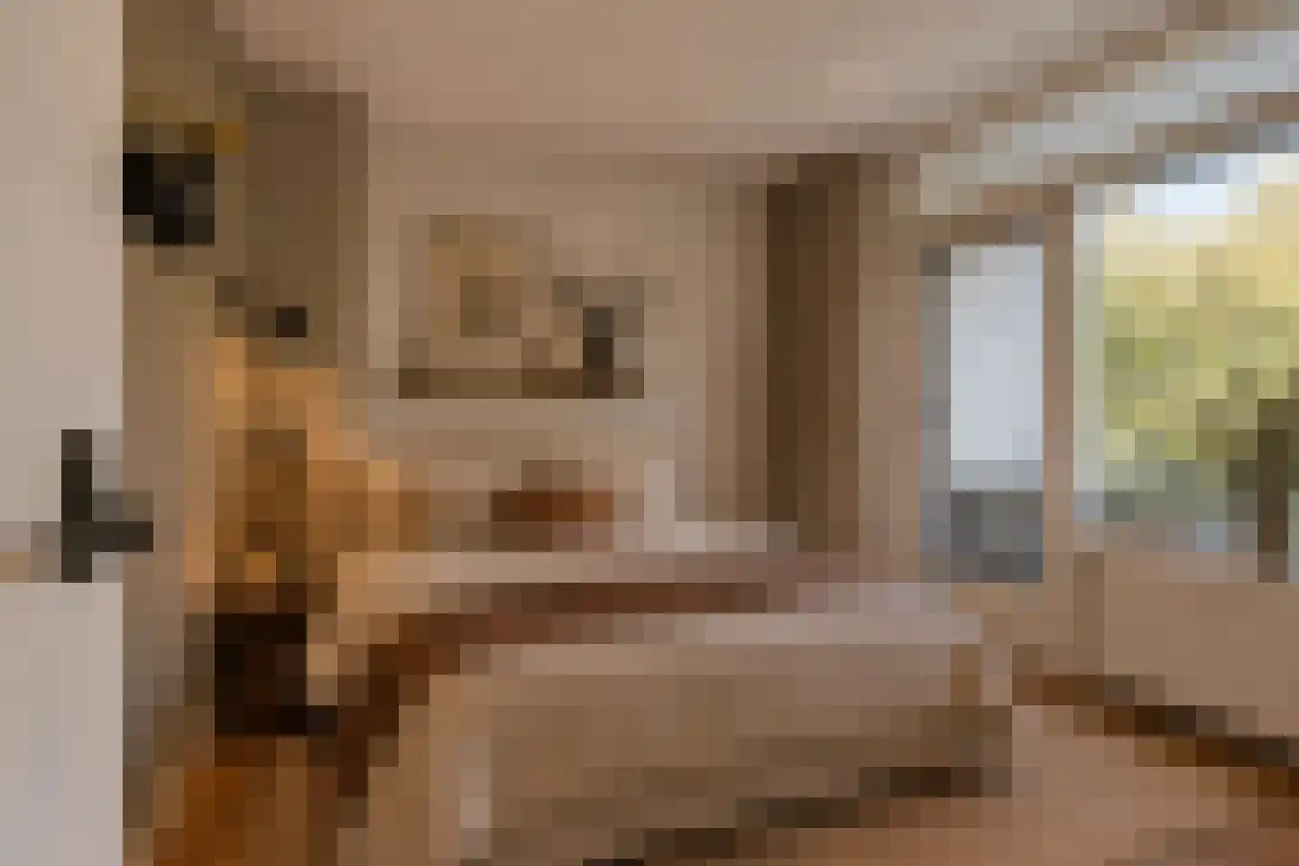 St Plechelmuspad 35 Eindhoven thumbnail 23