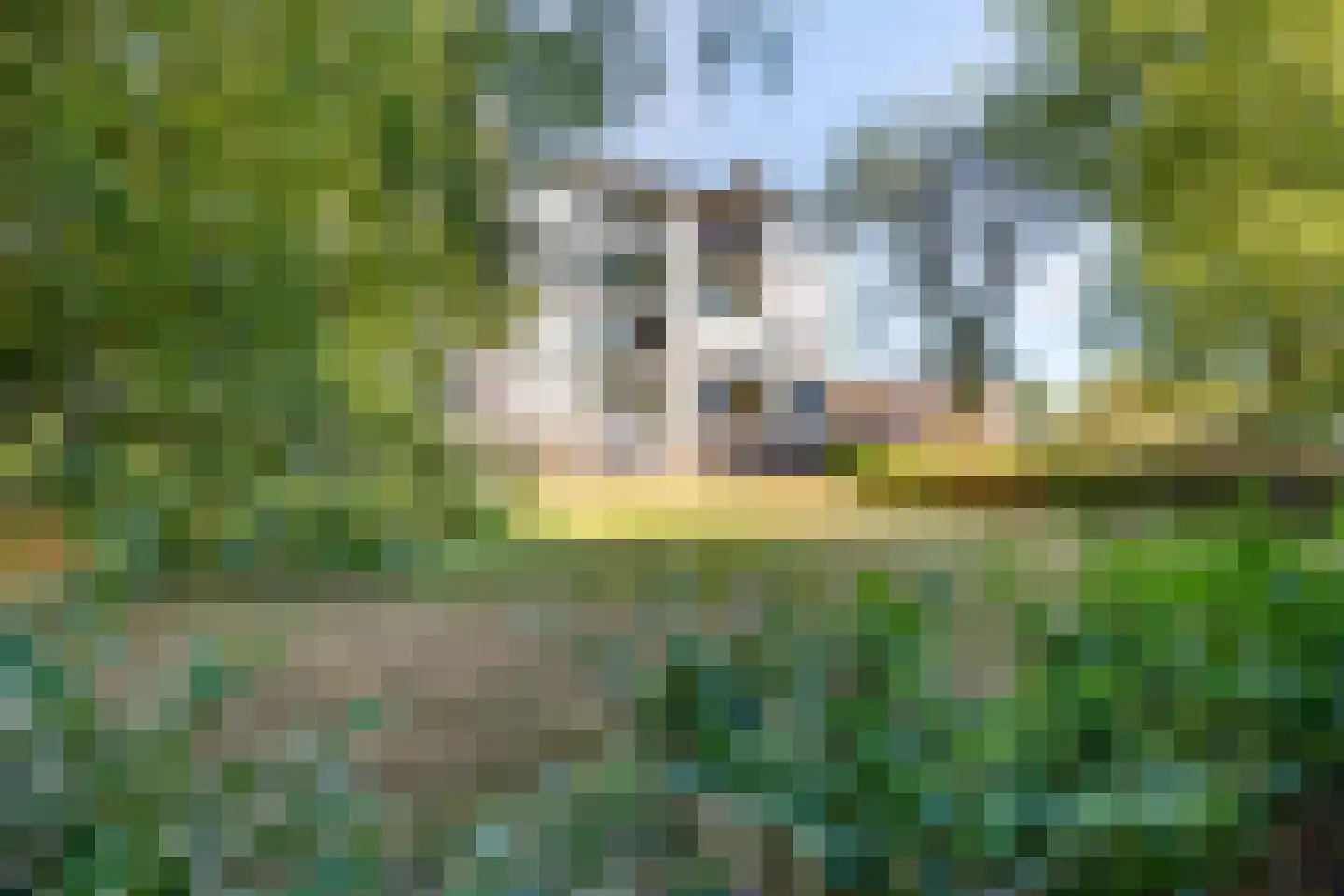 St Plechelmuspad 35 Eindhoven thumbnail 26